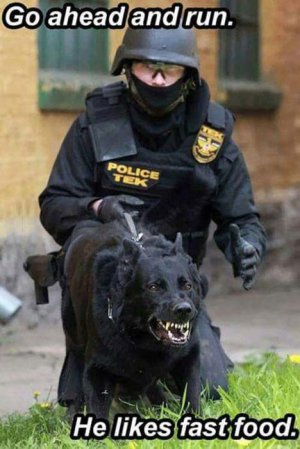 military-humor-go-ahead-run-he-likes-fast-food-police-dog.jpg