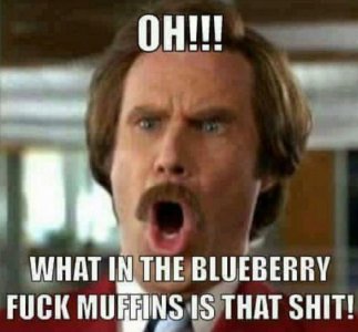 Blueberry  Fuck muffins .jpg