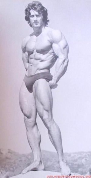 Vi 9 .jpg