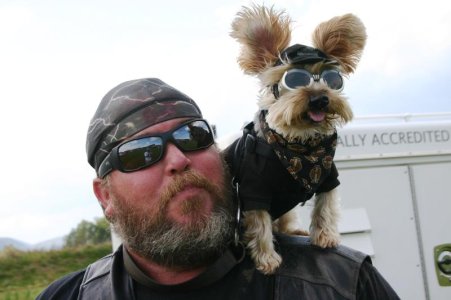Biker-and-Dog.jpg