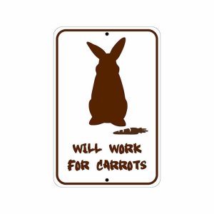 work for carrots 2.jpg