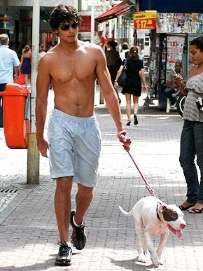 67adbea6d1c214a1de7118d3922e8b3c--walking-the-dogs-shirtless-guys.jpg
