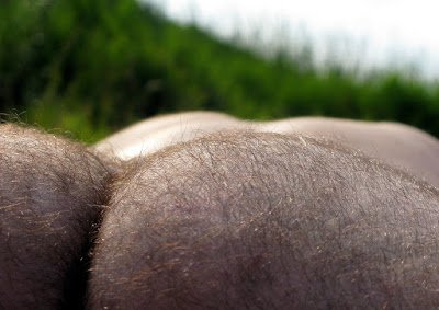 ztectur a¡raer'a'er.jpg