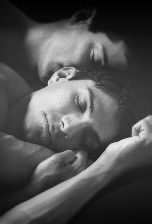 c5c4b4325962b5368043125c96737843--sweet-dreams-gay-romance.jpg