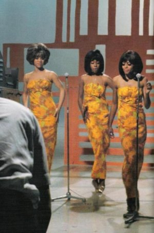 Eloise's Garden.jpeg.jpg