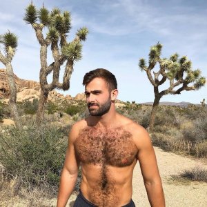 Joshua Tree National Park, California 43444433.jpg