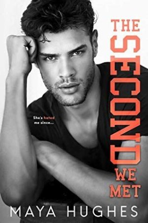 Review_ The Second We Met by Maya Hughes.jpeg.jpg