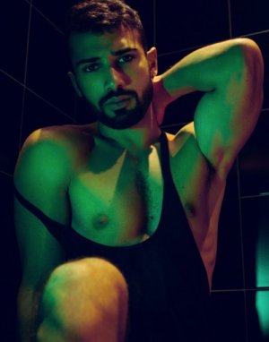 Hasan Abdallah. exterface.jpg