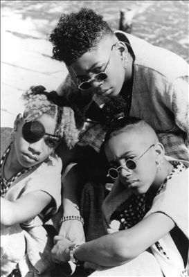 Immature _ Biography, Albums, Streaming Links _ AllMusic.jpeg.jpg