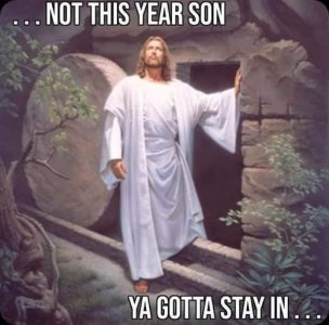 Not  This  Year .jpg