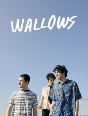 Wallows 3 Art Print by kleindaniel - X-Small.jpg