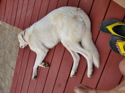 20200502_185632.jpg 20200502_185632.jpg