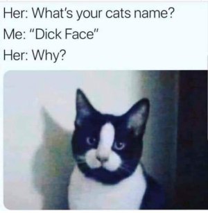 Cat Name .jpg