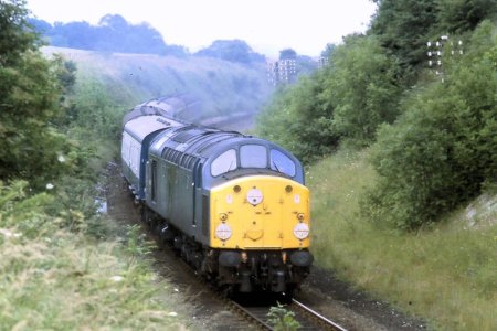 B9A84656-DD5F-45BE-A37D-BEB8524499C3.jpg B9A84656-DD5F-45BE-A37D-BEB8524499C3.jpg