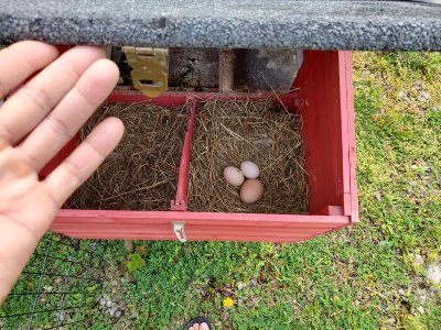 20200516_093349.jpg 20200516_093349.jpg