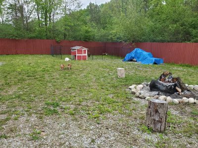 20200517_143709.jpg 20200517_143709.jpg