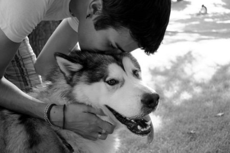 black-and-white-cute-dog-guy-kiss-Favim.com-131060_large.jpg