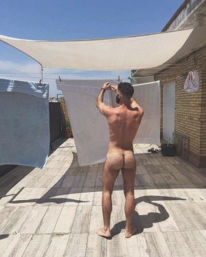 domestic ¡4'ty3y4.jpg