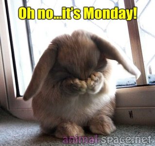 monday.jpg monday.jpg