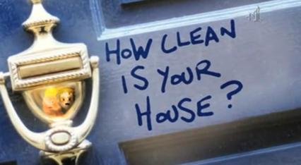 How_Clean_Is_Your_House.jpg