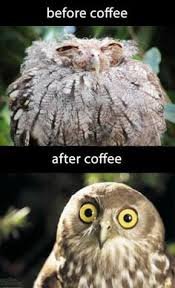 before and after coffee.jpg