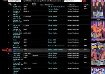 GEVI Cops gone bad.jpg