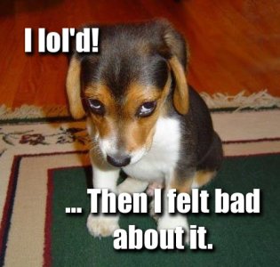 LOL'd but Felt Bad.jpg