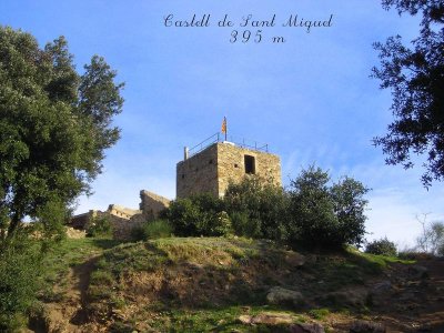 DSCN3393.jpg DSCN3393.jpg