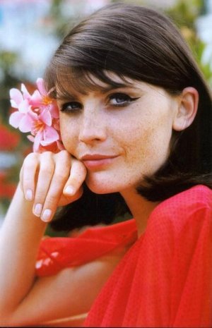 Sandie Shaw (born 1947).jpeg.jpg