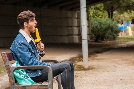 coclollie .jpg coclollie .jpg