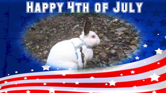 happy fourth.jpg