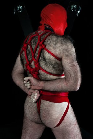 rojo 4i53453'5354¡.jpg