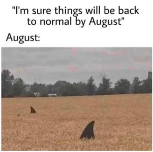 back2normal .jpg back2normal .jpg