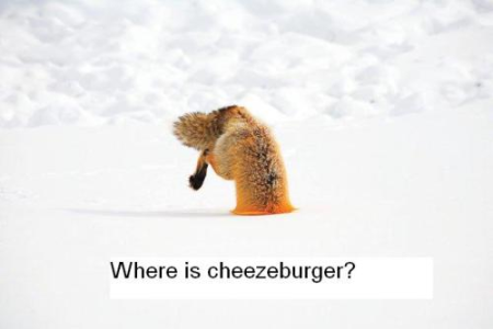 cheeseburger.png