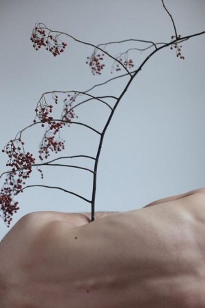 The Ballad by Sven Serkis_05.jpg