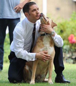 Tom Hardy a .jpg
