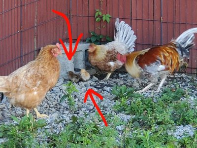 20200821_093021.jpg 20200821_093021.jpg