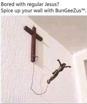 BUNGEEZUS .jpg