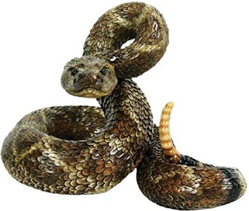 RATTLE SNAKE.jpg