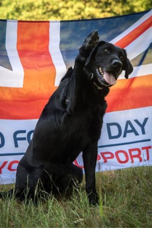 Brewtus from 1 Military Working Dog unit showing his supPAWt for Armed Forces Day.jpg