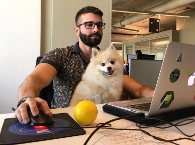 Bernardo Villas Boas. Extra help at work.jpg