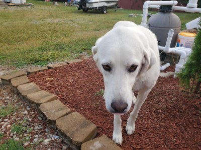 20200913_081043.jpg 20200913_081043.jpg