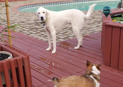 20200913_084736.jpg 20200913_084736.jpg