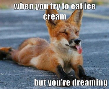ice-cream-but-youre-dreaming.jpg