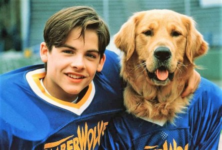 mrdog 11 .jpg mrdog 11 .jpg