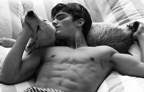 mrdog 3 .png mrdog 3 .png