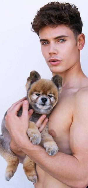 mrdog 2 .jpg mrdog 2 .jpg