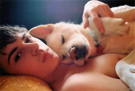 mrdog 7 .jpg mrdog 7 .jpg