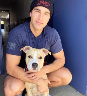 mrdog 5 .jpg mrdog 5 .jpg