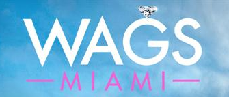 WAGS_Miami_Logo.png